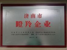 濟(jì)南市瞪羚企業(yè)